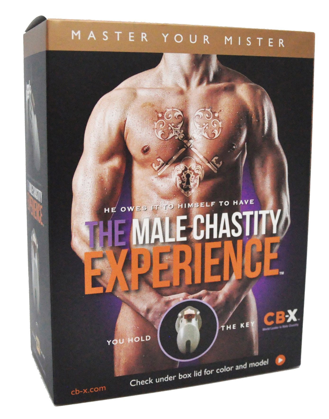 Male Chastity CB-6000S chrome
