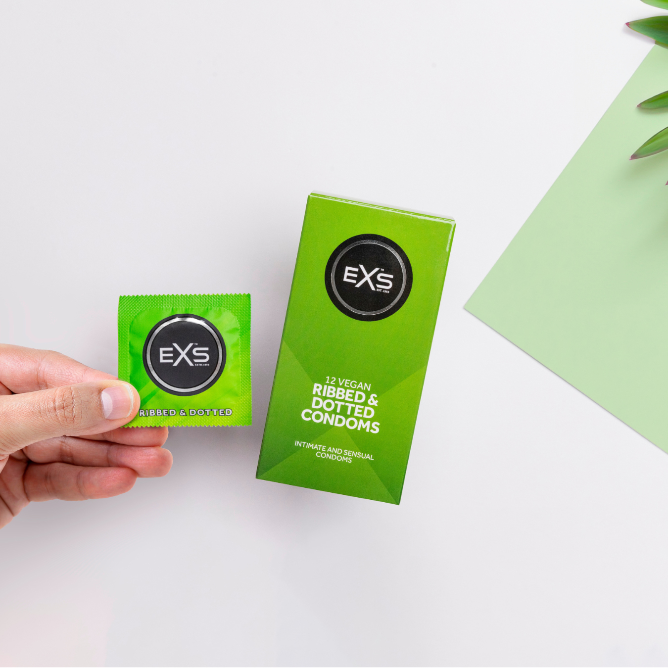 EXS Ribbed & dotted condoms (12pcs)