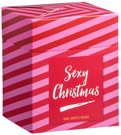 Box "Sexy-Christmas"