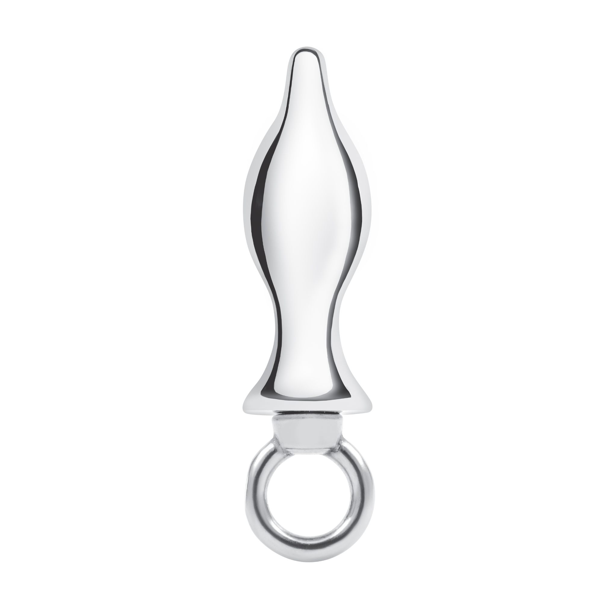 BLUE LINE C&B GEAR Stainless Steel Butt Plug with loop