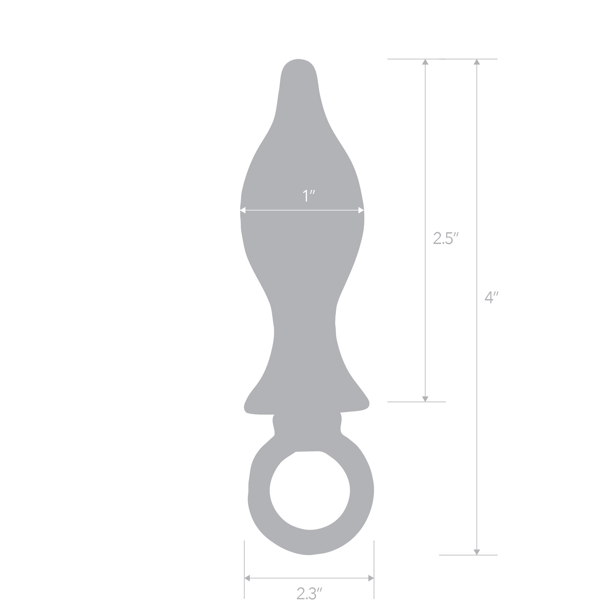 BLUE LINE C&B GEAR Stainless Steel Butt Plug with loop